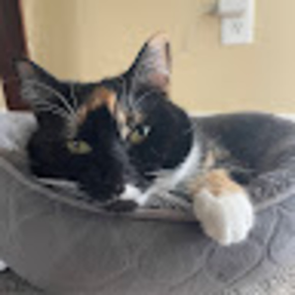 Meet your Posher, Jordan - Picture 1 of 1